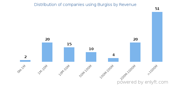 Burgiss clients - distribution by company revenue
