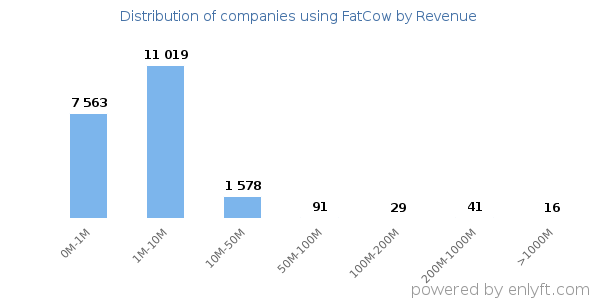 FatCow clients - distribution by company revenue