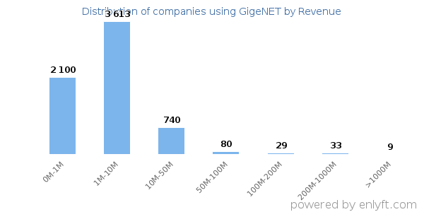 GigeNET clients - distribution by company revenue