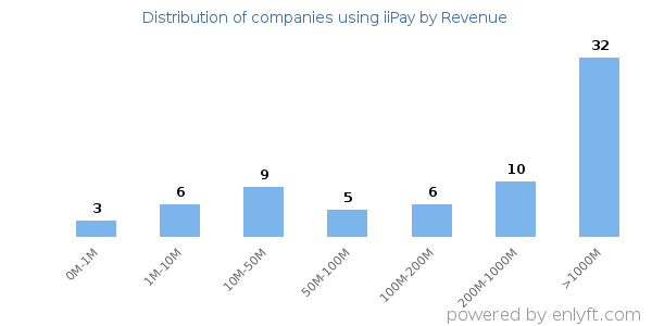 iiPay clients - distribution by company revenue
