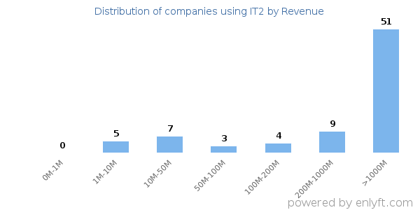 IT2 clients - distribution by company revenue