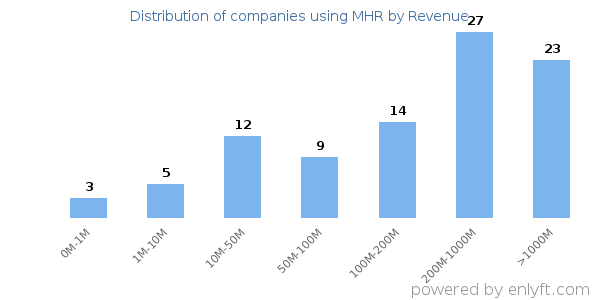 MHR clients - distribution by company revenue