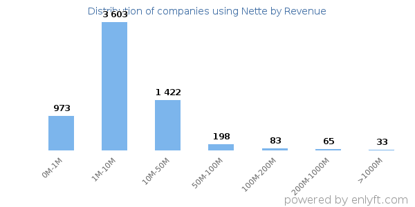 Nette clients - distribution by company revenue