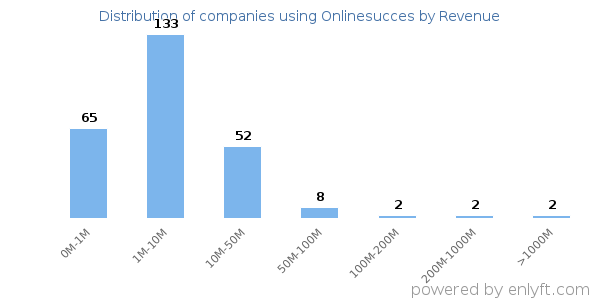 Onlinesucces clients - distribution by company revenue