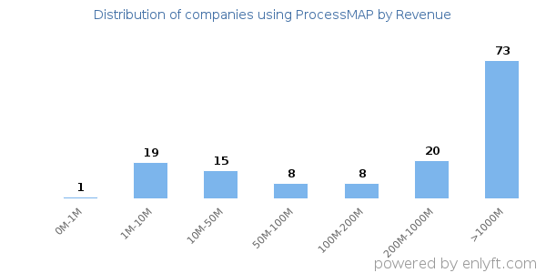 ProcessMAP clients - distribution by company revenue