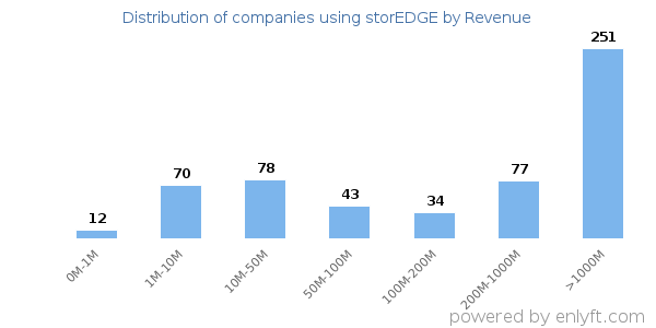 storEDGE clients - distribution by company revenue