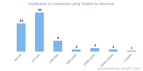 Terabitz clients - distribution by company revenue