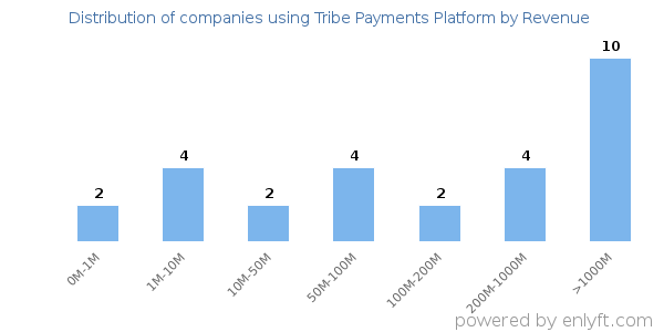 Tribe Payments Platform clients - distribution by company revenue
