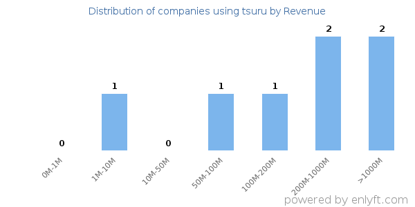 tsuru clients - distribution by company revenue