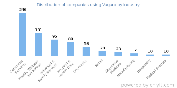Companies using Vagaro - Distribution by industry