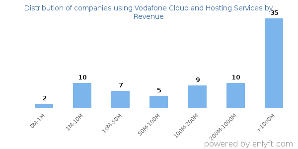 Vodafone Cloud and Hosting Services clients - distribution by company revenue