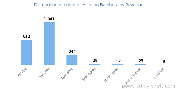 Bambora clients - distribution by company revenue