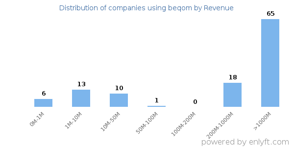 beqom clients - distribution by company revenue