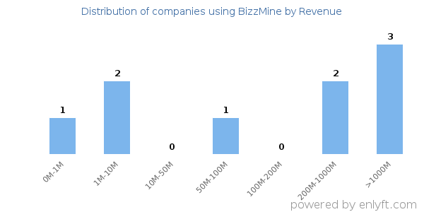 BizzMine clients - distribution by company revenue