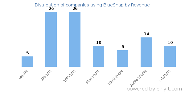 BlueSnap clients - distribution by company revenue