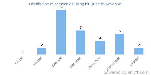 bluQube clients - distribution by company revenue