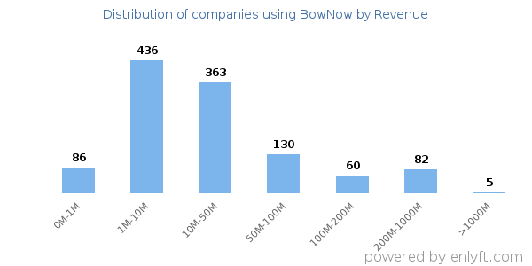 BowNow clients - distribution by company revenue