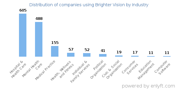 Companies using Brighter Vision - Distribution by industry