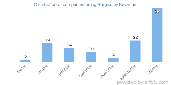 Burgiss clients - distribution by company revenue