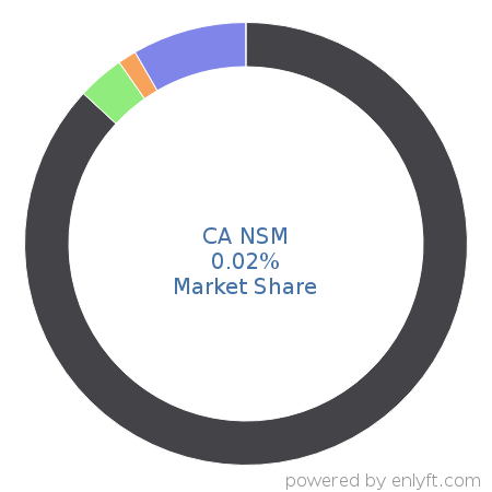 CA NSM market share in Network Management is about 0.2%