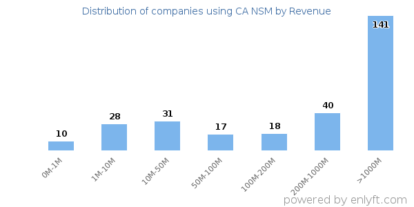 CA NSM clients - distribution by company revenue