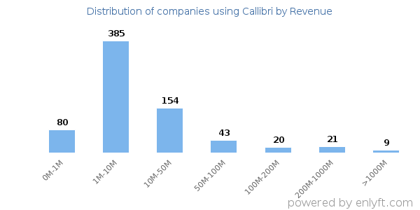 Callibri clients - distribution by company revenue