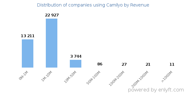 Camilyo clients - distribution by company revenue