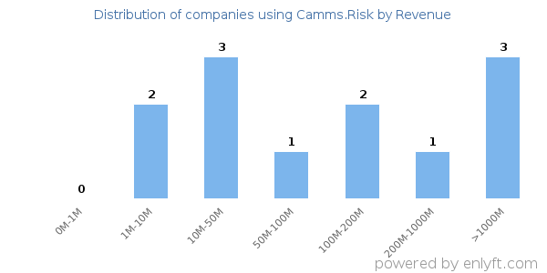 Camms.Risk clients - distribution by company revenue