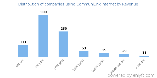 CommuniLink Internet clients - distribution by company revenue