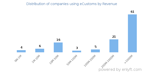 eCustoms clients - distribution by company revenue