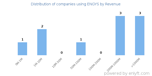 ENGYS clients - distribution by company revenue