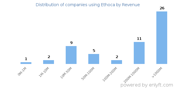 Ethoca clients - distribution by company revenue