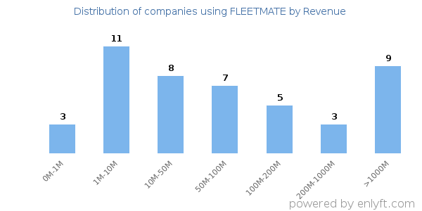 FLEETMATE clients - distribution by company revenue
