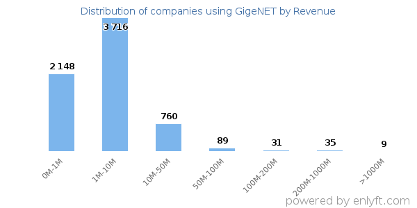 GigeNET clients - distribution by company revenue