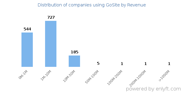GoSite clients - distribution by company revenue
