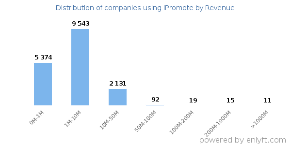 iPromote clients - distribution by company revenue
