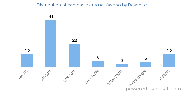 Kashoo clients - distribution by company revenue