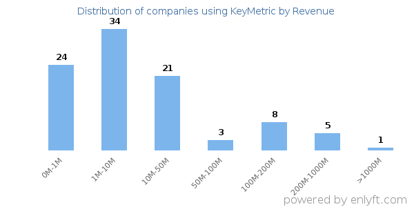 KeyMetric clients - distribution by company revenue