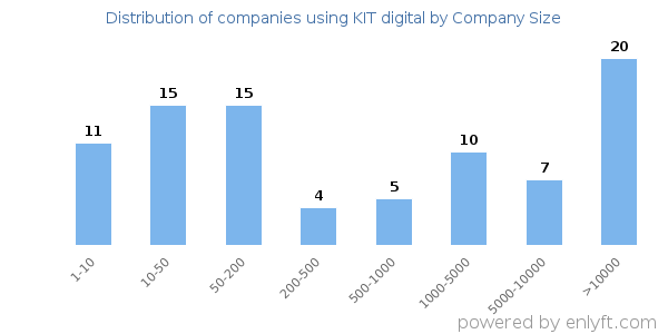 Companies using KIT digital, by size (number of employees)