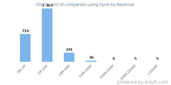 Kiyoh clients - distribution by company revenue
