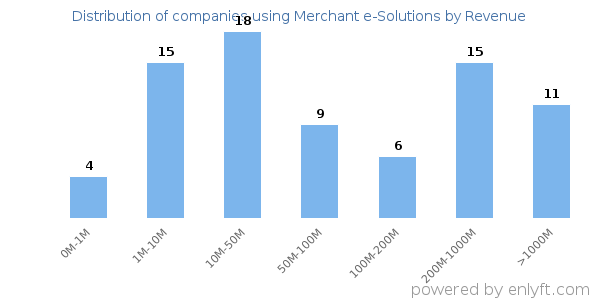Merchant e-Solutions clients - distribution by company revenue