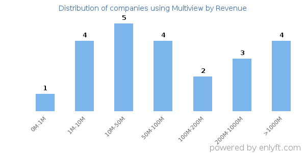 Multiview clients - distribution by company revenue