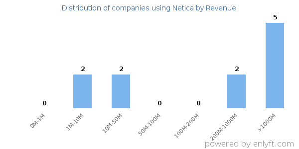 Netica clients - distribution by company revenue