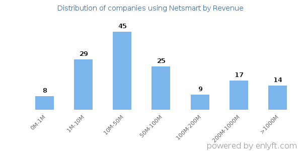Netsmart clients - distribution by company revenue