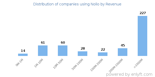 Nolio clients - distribution by company revenue