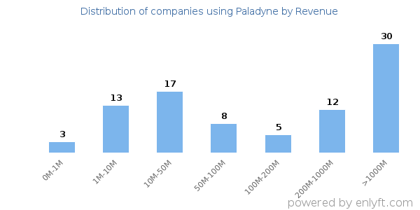 Paladyne clients - distribution by company revenue