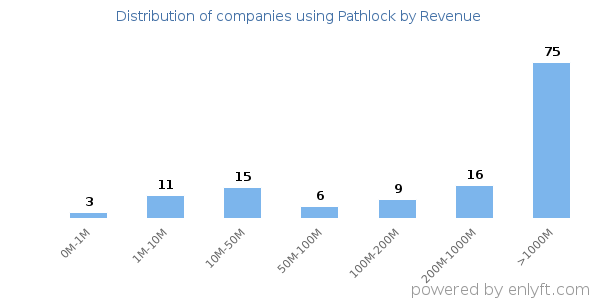 Pathlock clients - distribution by company revenue