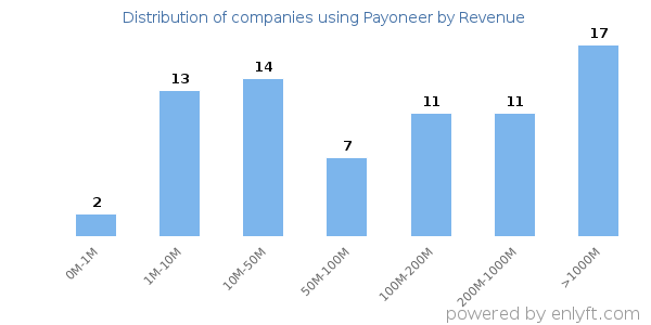 Payoneer clients - distribution by company revenue