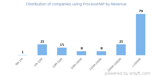 ProcessMAP clients - distribution by company revenue