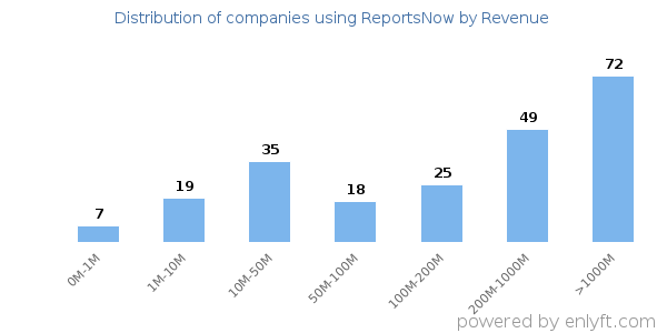 ReportsNow clients - distribution by company revenue